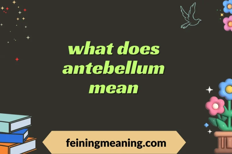 “What Does Antebellum Mean? Uncover Its History and True Meaning” 2025-26