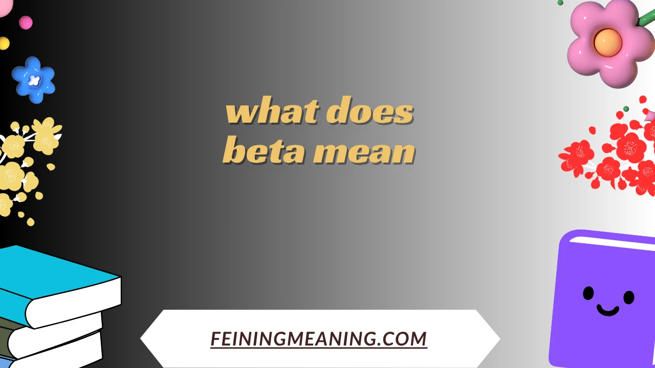 what does beta mean