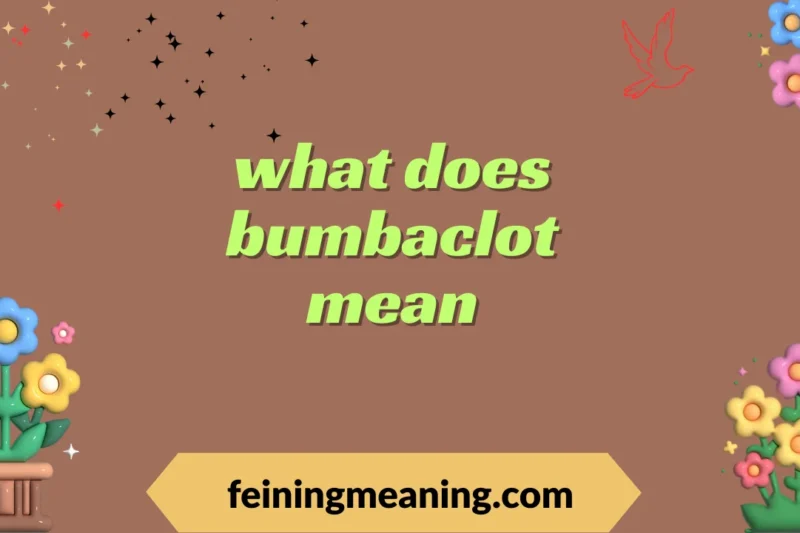 “What Does Bumbaclot Mean? A Complete Guide to Its Meaning & Use” 2025-26