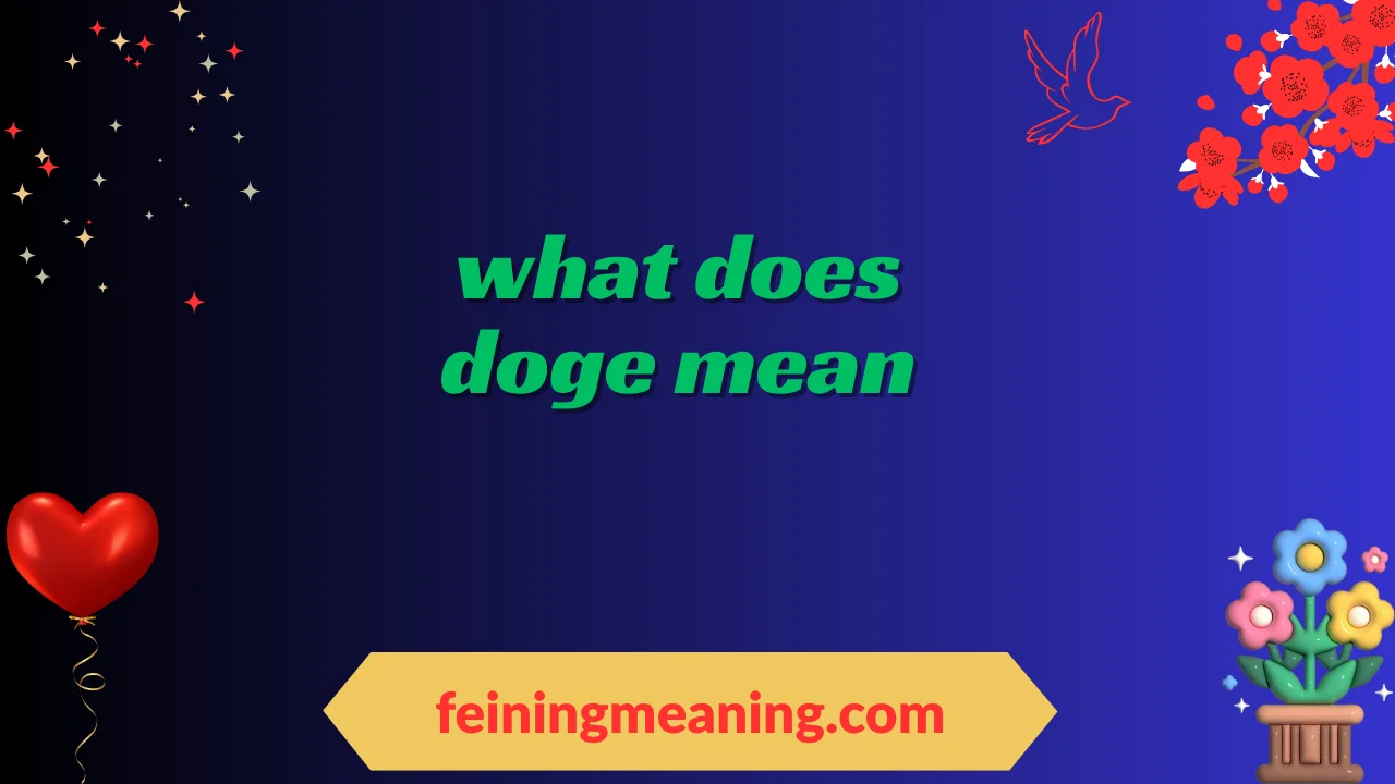 what does doge mean