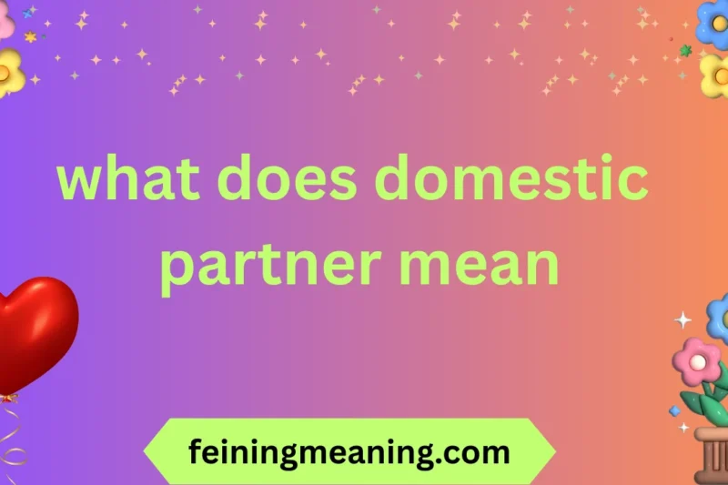 What Does Domestic Partner Mean? Full Simple Guide 2025-26
