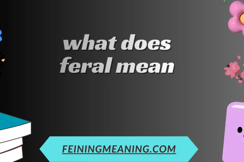 What Does Feral Mean in English and Everyday Life? 2025