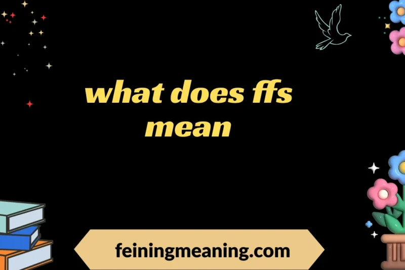 “What Does FFS Mean? Meaning, Usage & Online Slang Explained” 2025-26