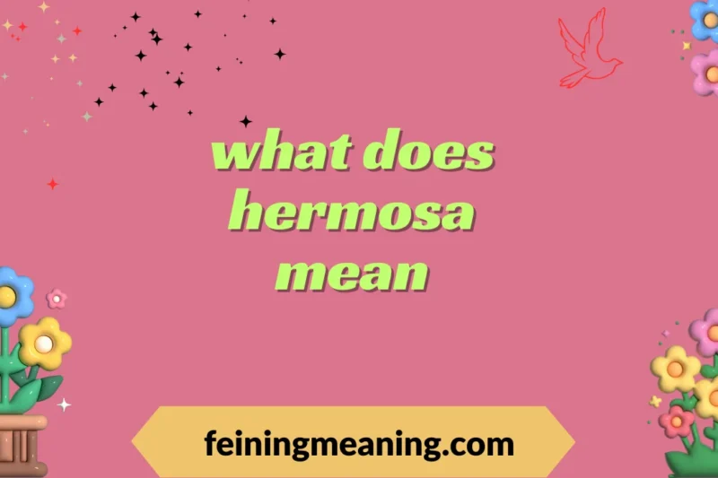 Hermosa Meaning: What the Spanish Word Really Means 2025-26