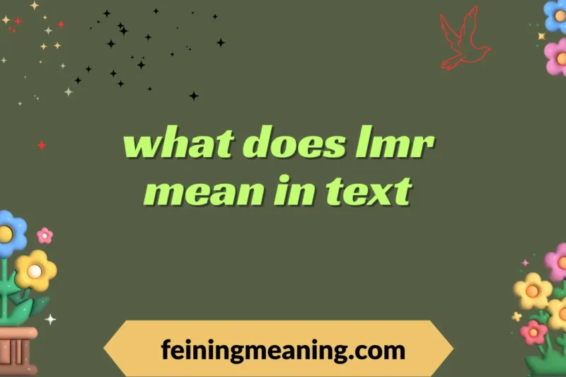 “LMR Meaning in Text: What It Really Means and How to Use It” 2025-26