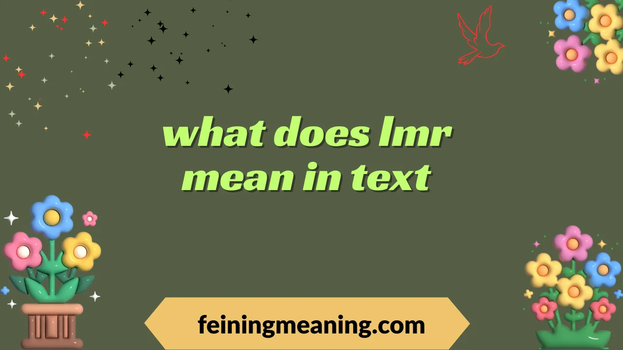 what does lmr mean in text