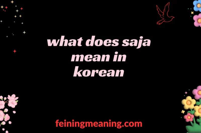 “Saja Meaning in Korean: Full Definition, Origins & Cultural Symbolism” 2025