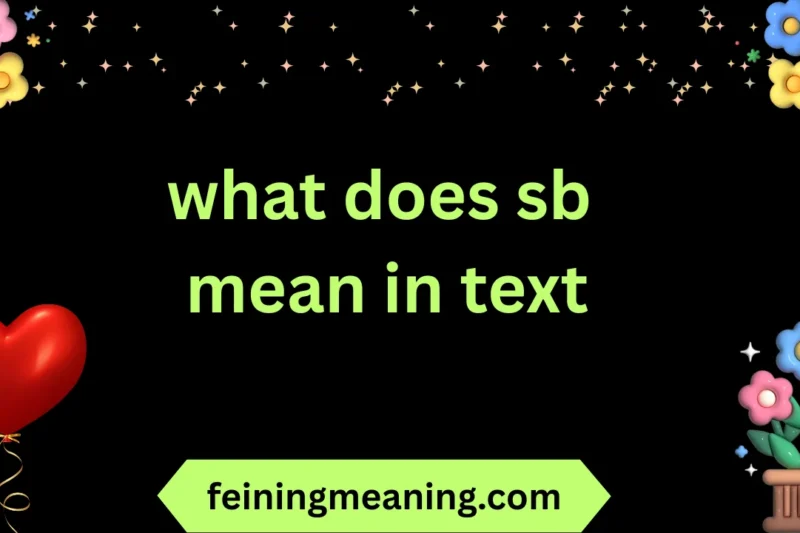 what does sb mean in text
