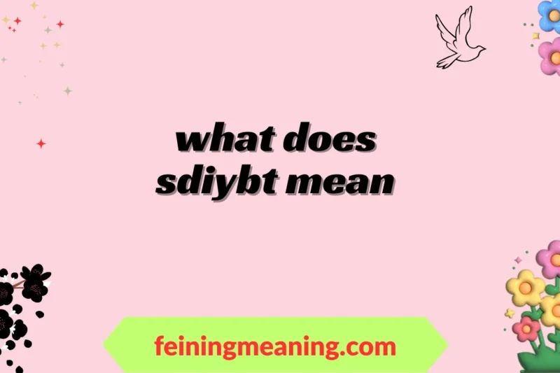 “What Does SDIYBT Mean? Full Guide to the Viral Acronym” 2025