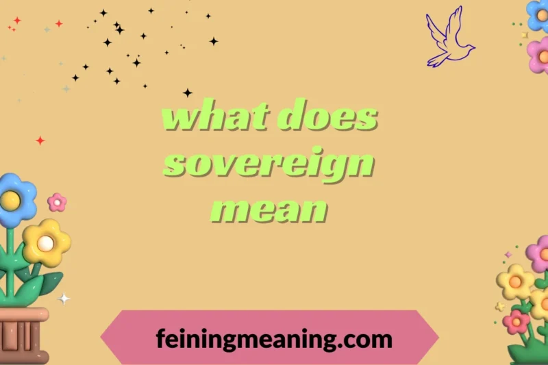 What Does Sovereign Mean? Full Definition & Examples 2025-26