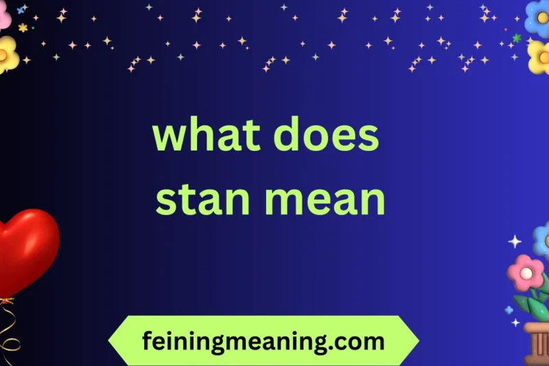 What Does Stan Mean? Meaning, History & Usage Explained 2025-26