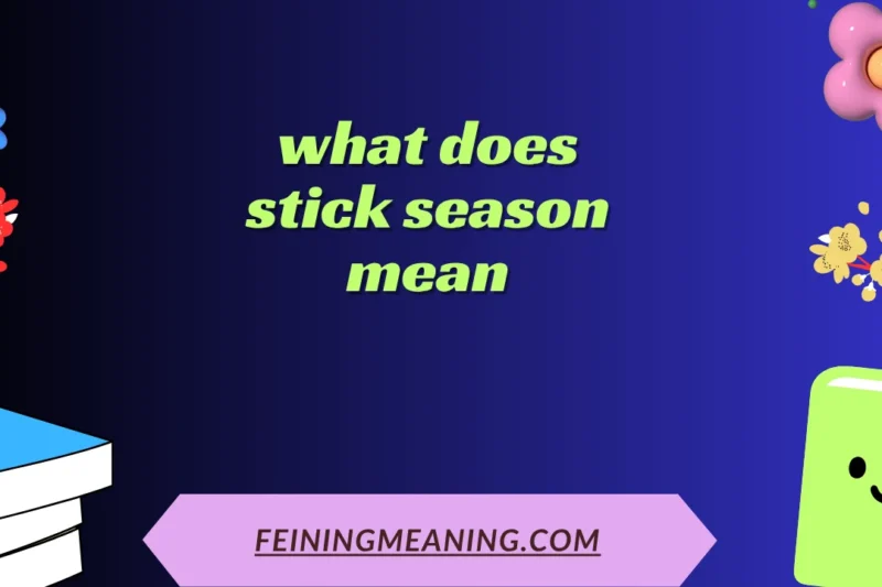 Stick Season Meaning: Understanding the Emotion Behind the Term 2025
