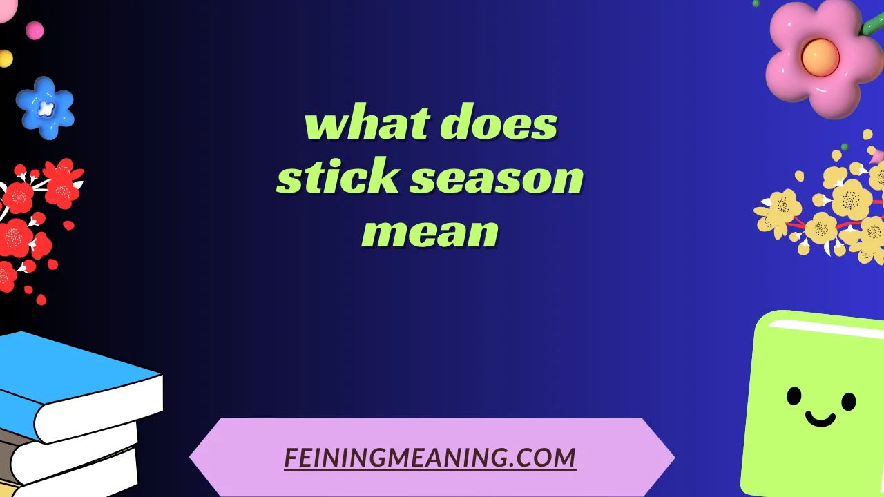 what does stick season mean
