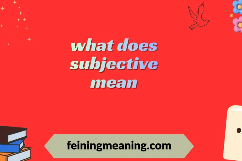 What Does Subjective Mean? Simple Definition & Clear Examples 2025