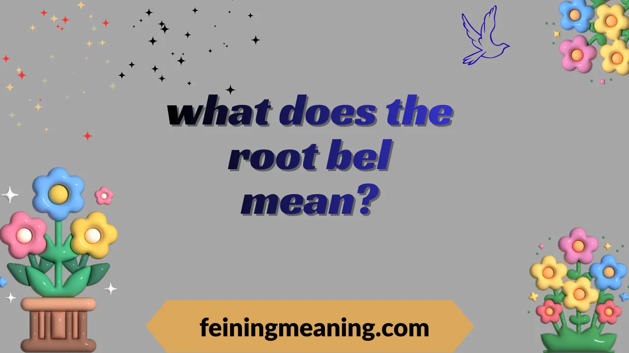 what does the root bel mean?