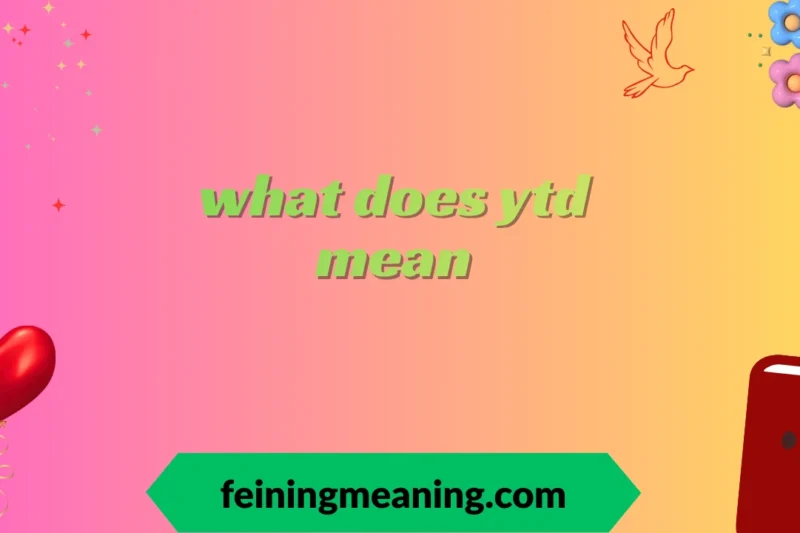 What Does YTD Mean? Complete Guide for Beginners 2025