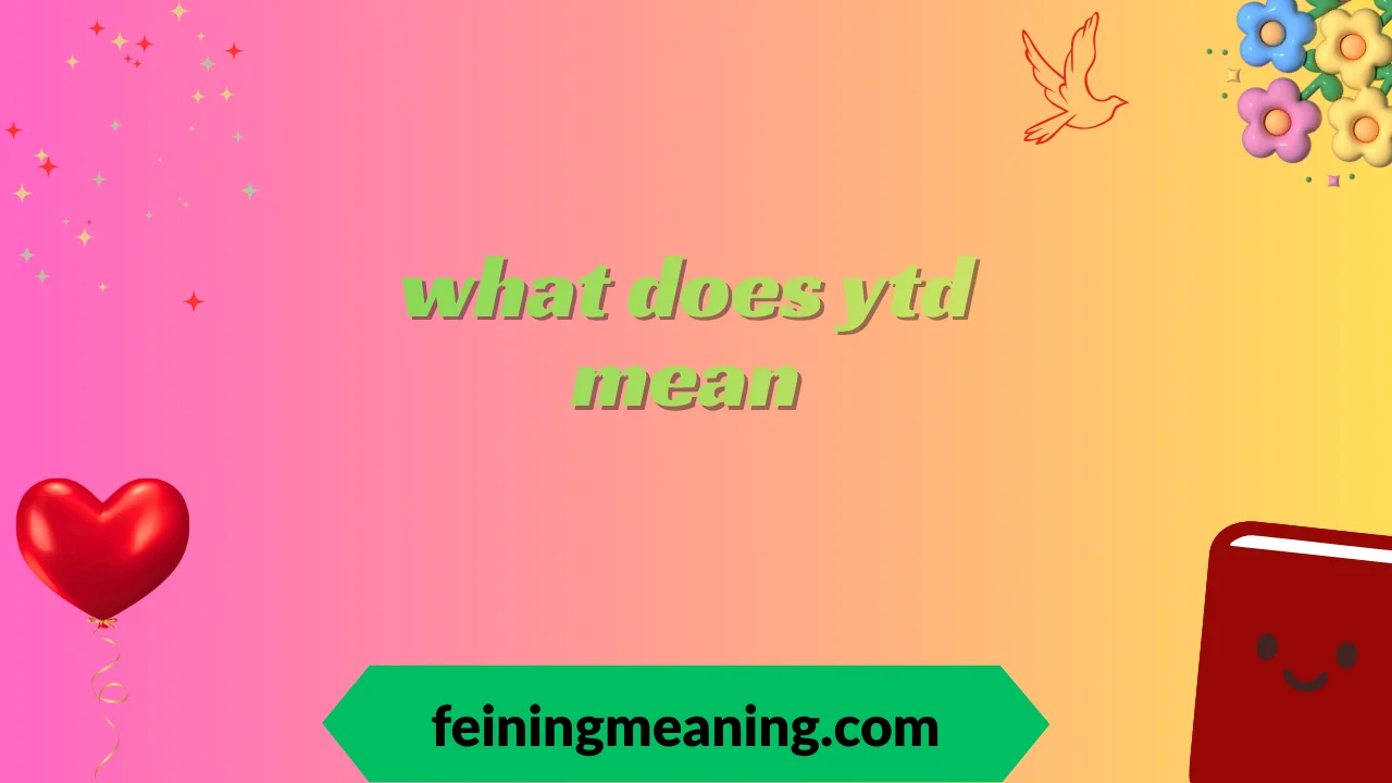 what does ytd mean