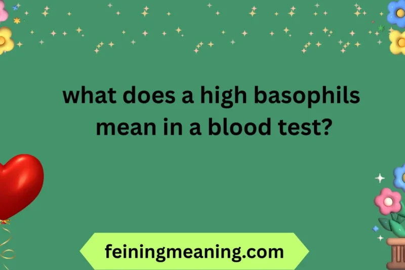 High Basophils in Blood Test: Causes & Meaning 2025-26