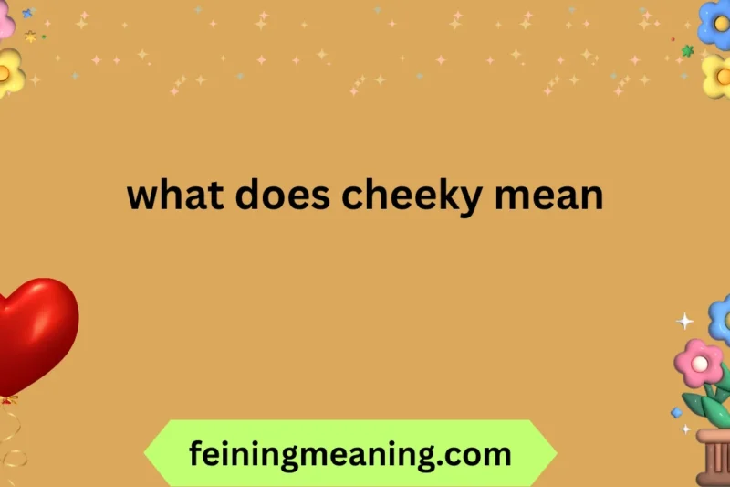 Cheeky Meaning: Definition, Examples & Usage 2025-26