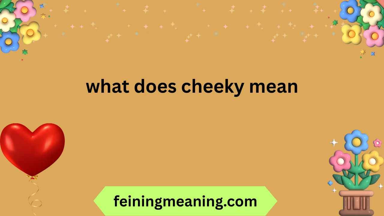 what does cheeky mean