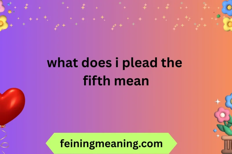 What Does I Plead the Fifth Mean? 😍🔥✨ 2025-26