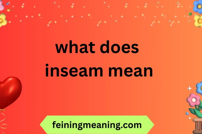 “What Is Inseam? Your Complete Guide to Pants That Fit” 2025-26