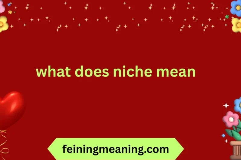 What Does Niche Mean? Understanding Its True Meaning 😍✨ 2025-26