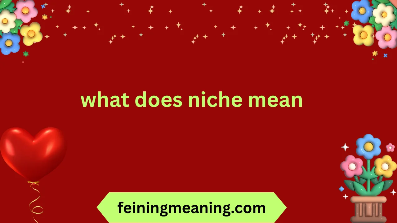 what does niche mean