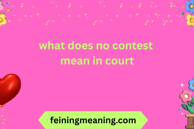 No Contest Meaning in Court Explained 2025-26