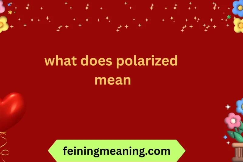 What Does Polarized Mean? Explained Simply 2025-26