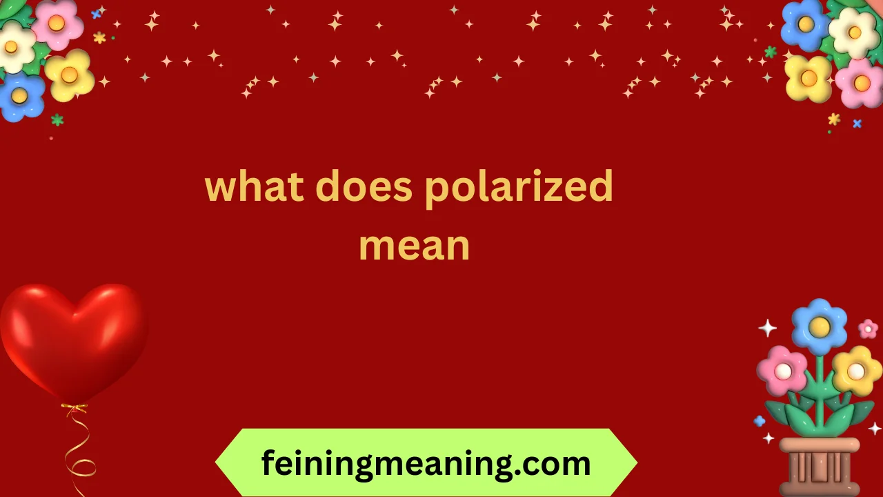 what does polarized mean
