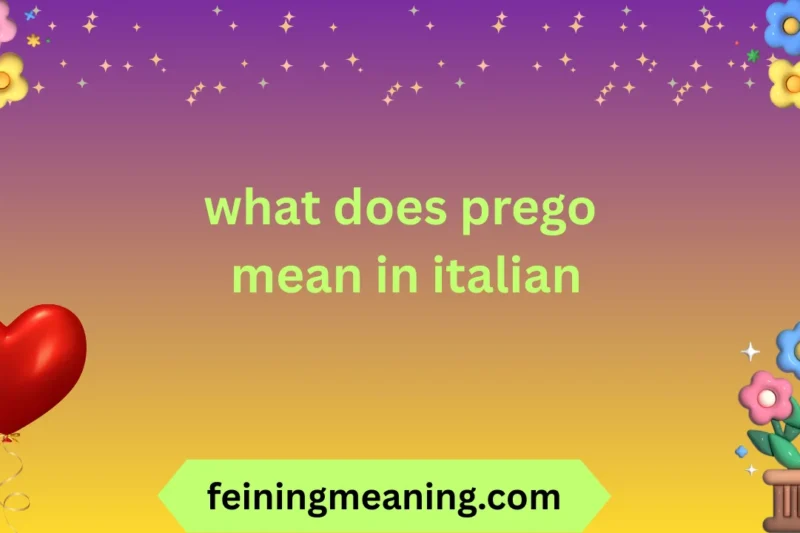 What Does Prego Mean in Italian? Meaning, Uses & Examples 2025-26