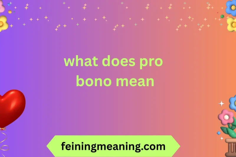 What Does Pro Bono Mean? Understanding Its True Purpose 🔥✨ 2025-26