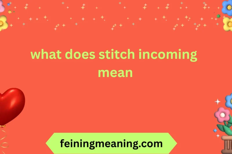 What Does Stitch Incoming Mean? Explained Clearly 2025-26