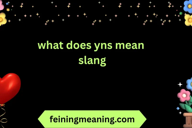 What Does YNS Mean in Slang? Explained 2025-26