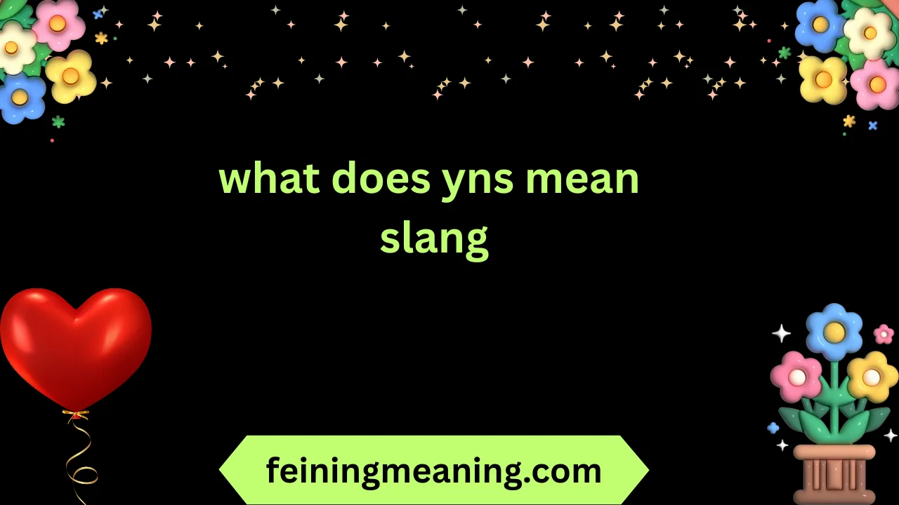 what does yns mean slang