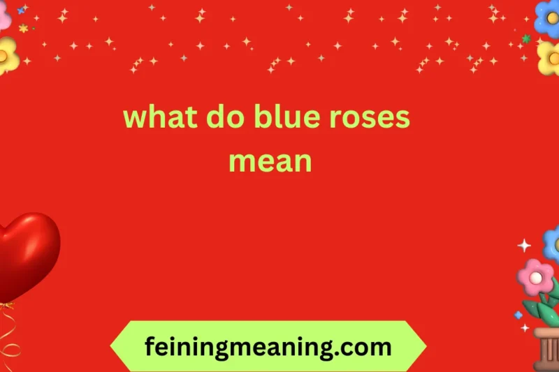 Blue Roses Meaning Explained | Symbolism & Significance 2026
