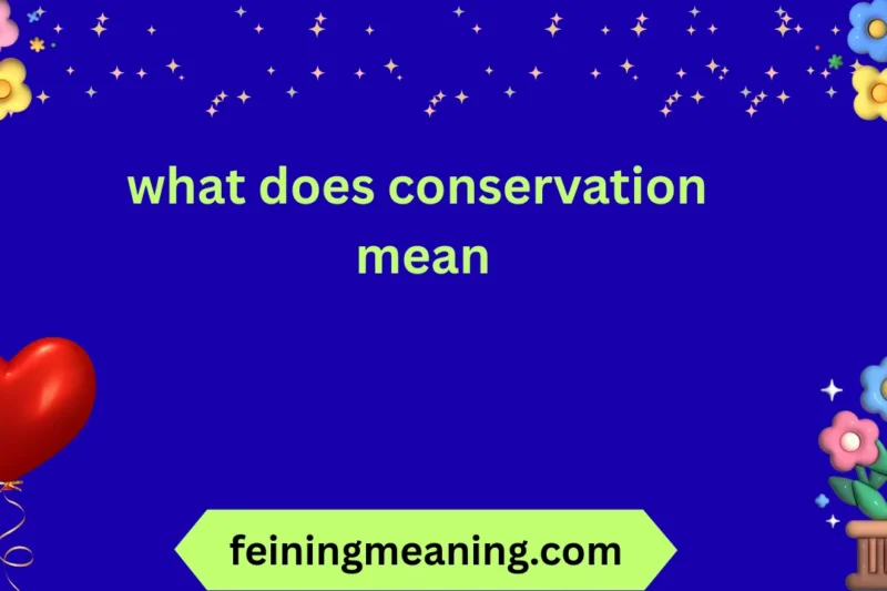 What Does Conservation Mean? Explained Clearly 2026