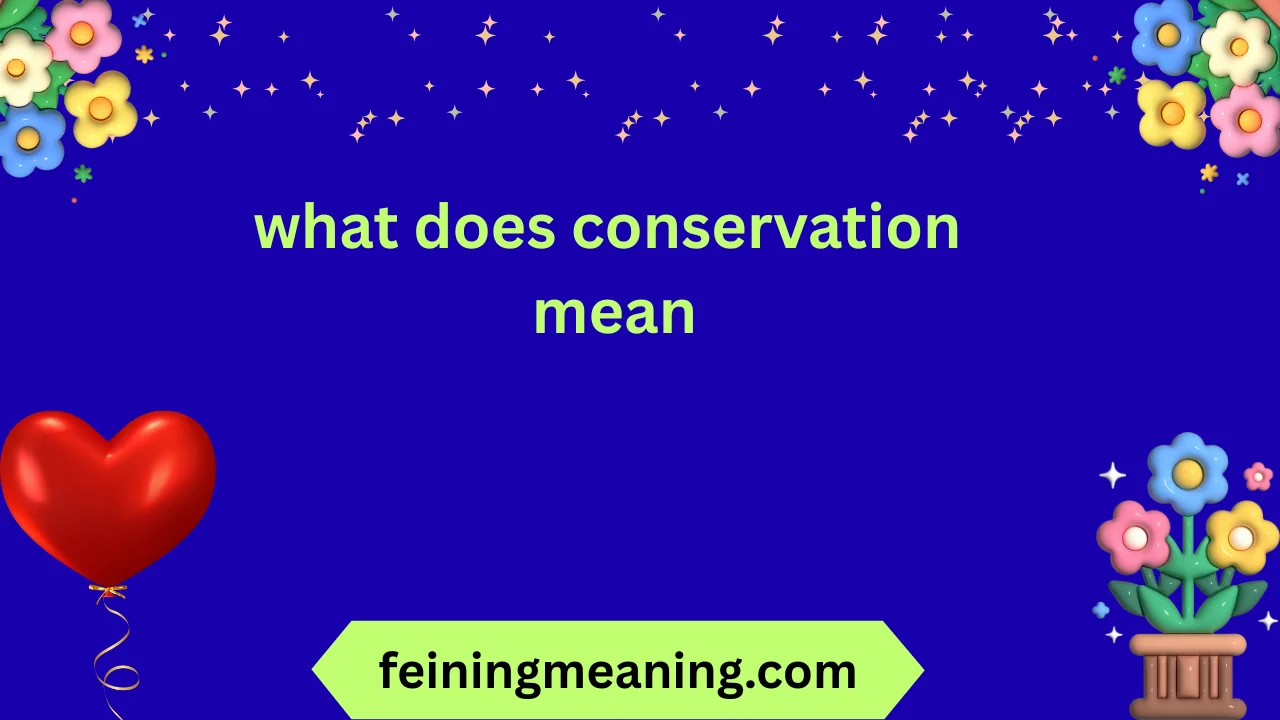 what does conservation mean