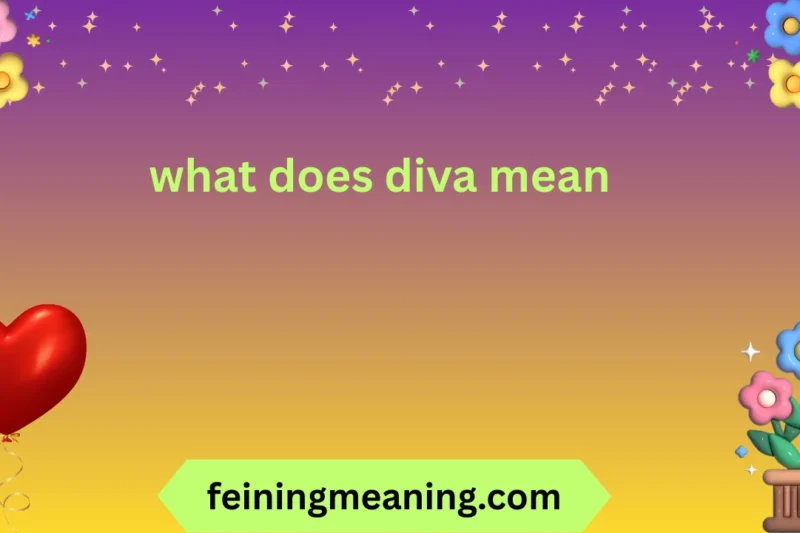 What Does Diva Mean: Complete Guide 📚✨ 2026