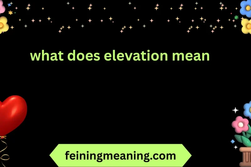What Does Elevation Mean? Complete Guide 😍✨ 2026