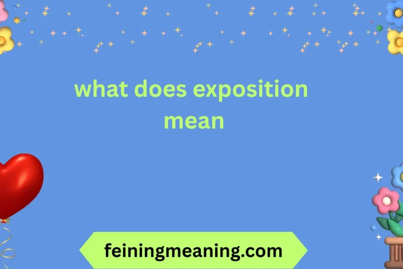 What Does Exposition Mean: A Complete Guide 📚✨ 2026