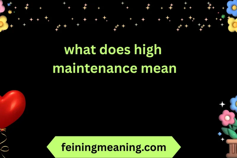 High Maintenance Meaning Explained | Personality Insights 2026