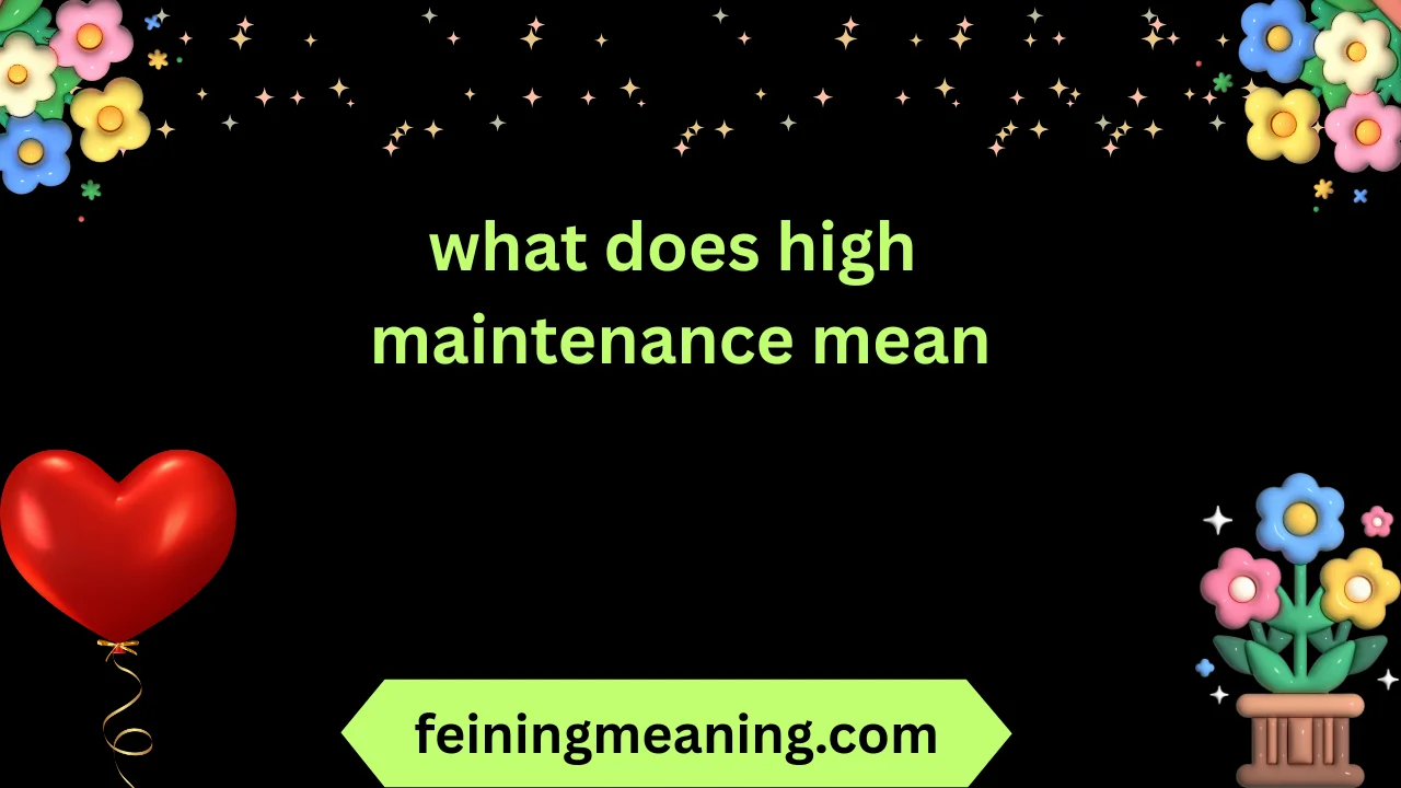 what does high maintenance mean