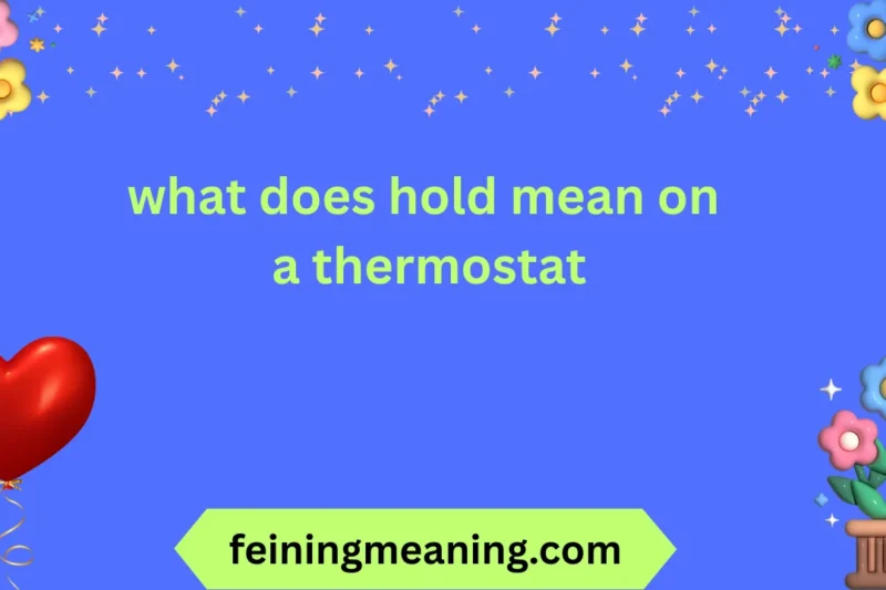 What Does Hold Mean on a Thermostat? Explained 2026