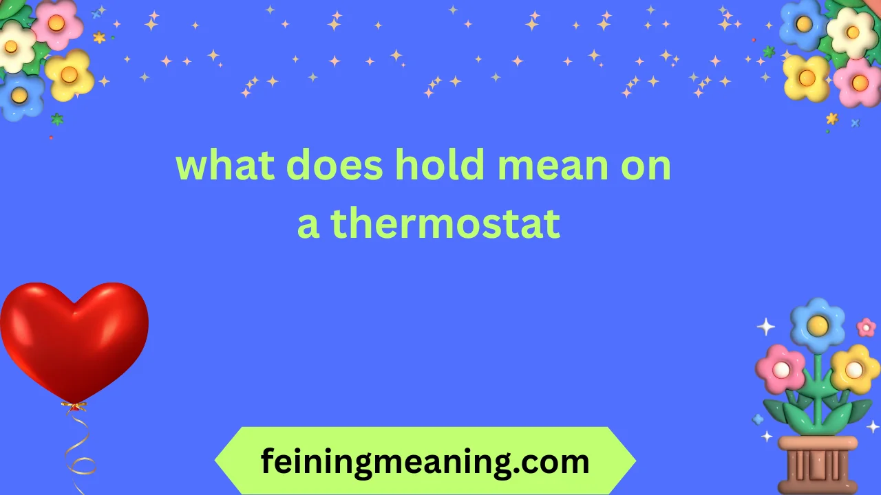 what does hold mean on a thermostat