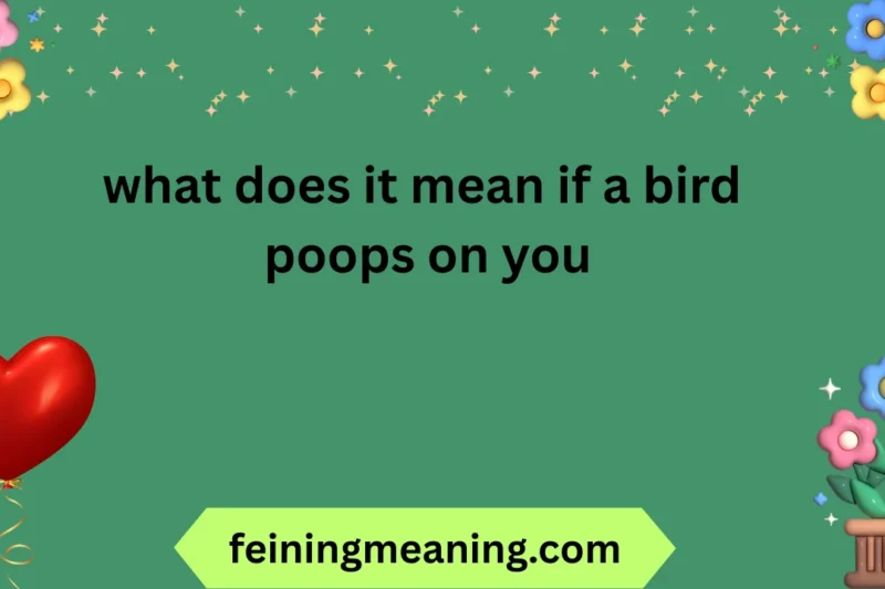 Bird Poop Meaning: Good Luck or Symbolism Explained 2026