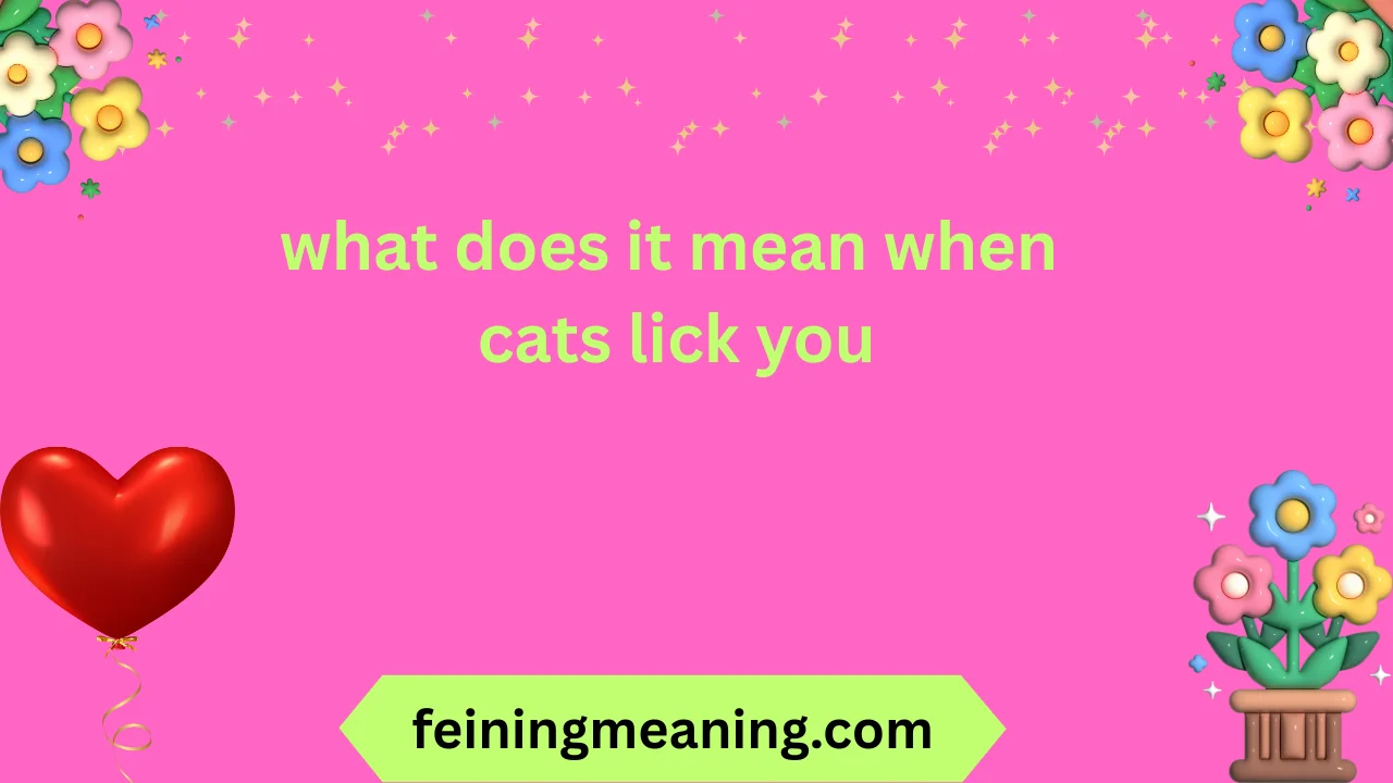 what does it mean when cats lick you