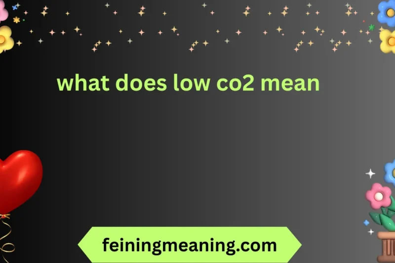 What Does Low CO2 Mean? Explained Clearly 2026