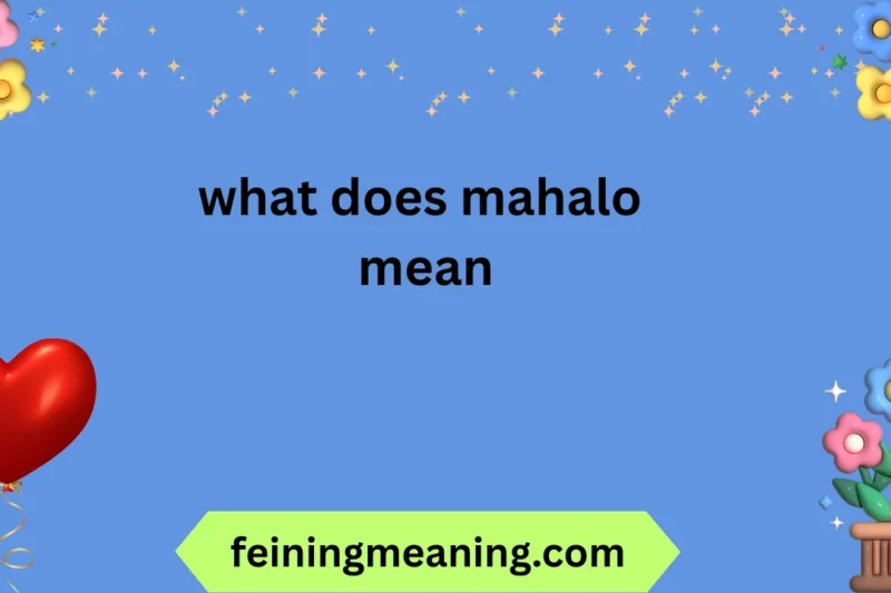 What Does Mahalo Mean? Full Guide 2026